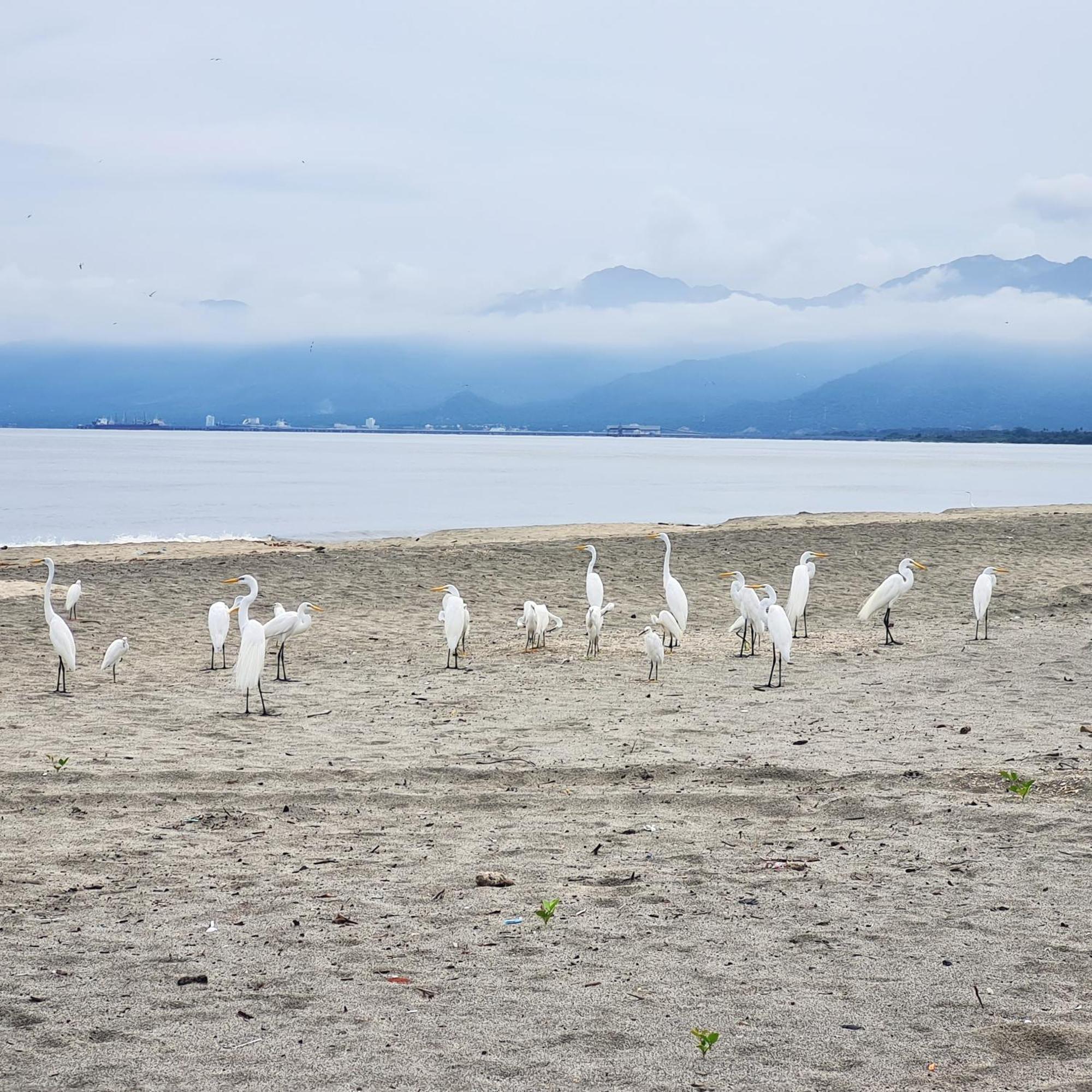 Eco-Hotel Chevere Beach Puebloviejo ภายนอก รูปภาพ